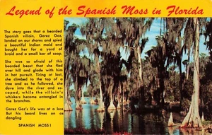 Leyendas del musgo español en Florida PC vintage - Imagen 1 de 2