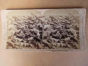 USA Chicago Stock Yard   Stereo View Stereo Card (file SW2)
