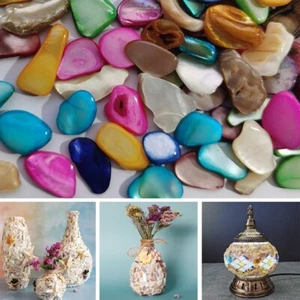 100g Colorful Stained Seashells Mosaic Tiles Bulk Assorted Shapes DIY Craft - Picture 1 of 22