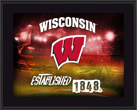 Badgers 10.5x13 Sublimated Horizontal Team Logo Plaque - Fanatics Cover