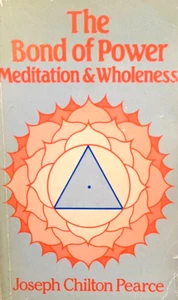 The Bond of Power: Meditation and Wholeness - Picture 1 of 6