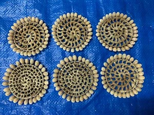 Natural Rattan with Shell Coaster 10cm Diam Coastal Boho Set Of 6 - Picture 1 of 2