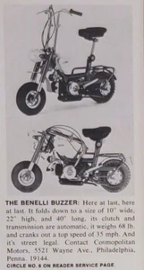 1969 Benelli Buzzer Mini-Bike Print Ad - Bild 1 von 1