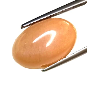 10.68CTS Orange natural moonstone oval cabochan loose gemstones - Picture 1 of 2