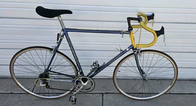 Vintage Team Fuji 61 cm 700c Valite Lugged Steel Race Bike near excellent - Image 1 of 4