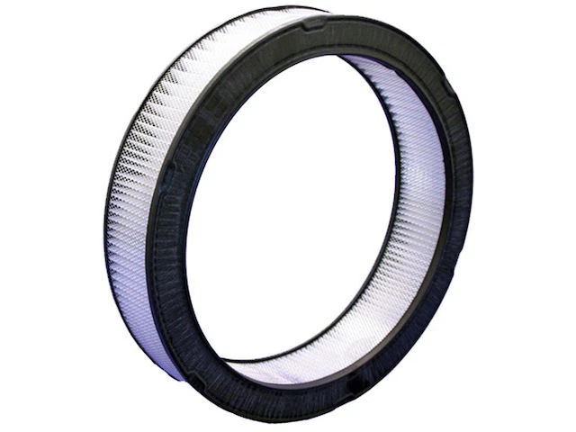 Filtro de aire Bosch 12136QS 1981 1982 1983 1984 para Cadillac Seville 1980-1985 Foto 1 de 2