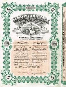 SUDÁFRICA SIMMER AND JACK MINES bono/certificado de acciones 5SH - Imagen 1 de 1