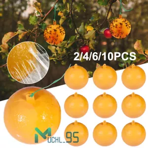 Fruit Fly Traps Sticky Traps Gnat Traps Flying Insects Glue Sticker Trap Balls - Picture 1 of 34