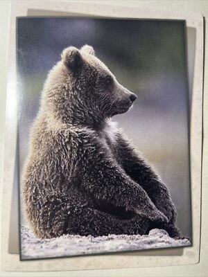 Leanin Tree a veces me siento y reflexiono sobre cómo te va allá! Foto 1 de 4