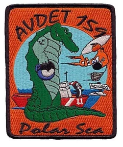 AvDet 159 Deep Freeze 2004 Antarctica POLAR SEA W4166 USCG Coast Guard patch - Picture 1 of 1