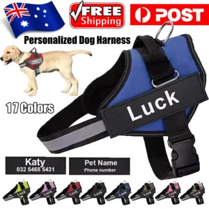 Personalized No Pull Dog Harness with Customizable Name Tag Adjustable Pet Vest - Picture 1 of 27