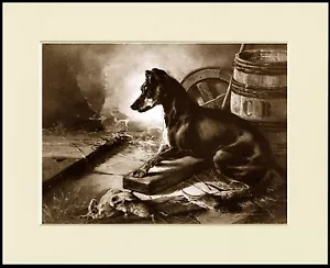 MANCHESTER TERRIER LOVELY SEPIA DOG PRINT MOUNTED READY TO FRAME - Foto 1 di 1