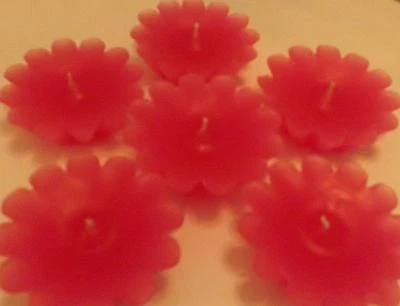 Velas flotantes de Navidad aroma a pino 6 GRATIS U.S.P.S. CORREO Foto 1 de 3