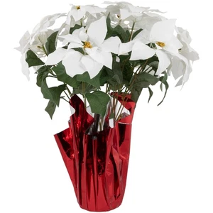 Northlight 22" White Christmas Poinsettia Flowers with Red Wrapped Base - Picture 1 of 6