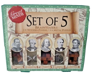 Professor Puzzle Great Minds SET OF 5 Brainteasers Wooden Metal Puzzles EUC - Picture 1 of 4