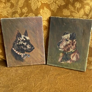 2x Coppia Dipinti Olio Originali Firmati Cani Volpe / Cairn Terrier / Westie Fine Art - Foto 1 di 13