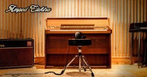 Steinberg Amped Elektra Vollversion (Download Access Code) - Bild 1 von 1