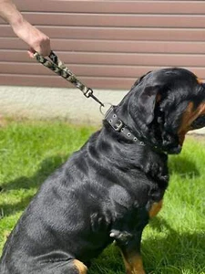 Plomo de tráfico | Correa de entrenamiento para perros | Paseo de perros | PLOMO DE TRÁFICO | Doble red fuerte - Imagen 1 de 9