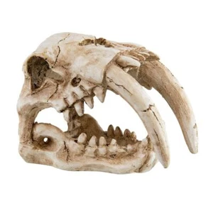 RA UNDERWATER TREASURES Sabertooth Skull - Picture 1 of 1