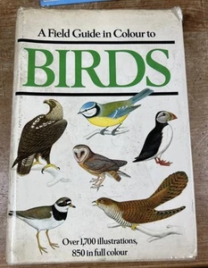 A Field Guide In Colour To Birds Dr. Walter Cerny 1976 Vintage Illustrated HB - Picture 1 of 8