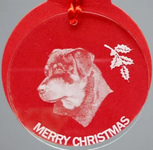 ROTTWEILER #1 ADORNO PERRO HEMBRA, LUCITE, - Imagen 1 de 2