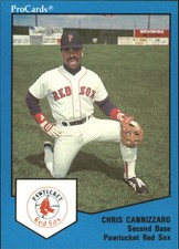 B3128- 1989 ProCards Minor League BB Cards Group4 -You Pick- 10+ FREE US SHIP