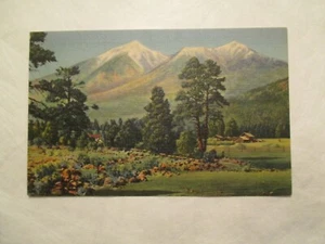 Flagstaff Arizona Postcard San Francisco Peaks AZ - Picture 1 of 2