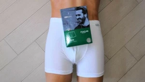 Boxer Fragi 151 - Bild 1 von 6