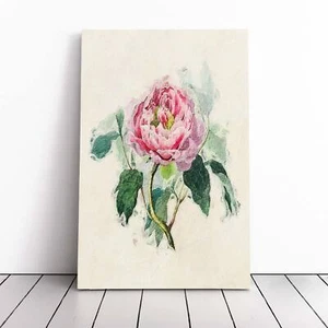 Illustrazione di una peonia rosa fiori vintage tela wall art stampa decorazione incorniciata - Foto 1 di 7