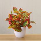 Knstliche Pflanzen Blumentopf-Ornament Geflschte Bonsai-Dekoration Kunststoff