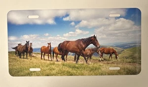 Horses License Plate Tag Novelty Aluminum Car Truck - Picture 1 of 1