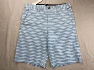 Volcom Frickin SNT Mix Hybrid Shorts. Blue Stripe, Men's Size 28. MINT!! - Picture 1 of 5