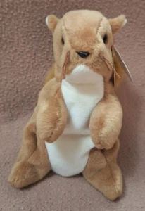 TY BEANIE BABY NUTS the SQUIRREL 1996 with ERRORS Rare Collectible - Picture 1 of 5