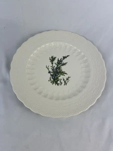 Vtg Spode England Bermuda Flowers Juniper 9" Luncheon Plate Signed MINT - Picture 1 of 3