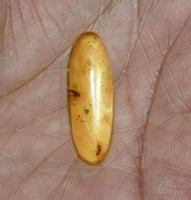 5.80 Cts. Natural Genuine Old Baltic Amber Untreated Certified Gemstone - Image 1 of 4