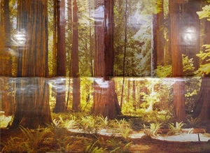 Full Wall Photo Mural Josef Muench Forest Woodland Trees Sun 8’ 8” x 12’ 6” NOS - Picture 1 of 20