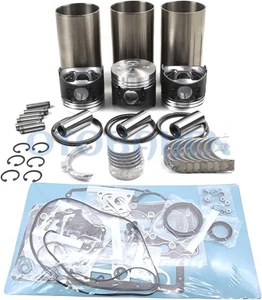 3KR2 Engine Overhaul Rebuild Kit fits For Hitachi EX30 EX35 EX40 Excavator Isuzu - Picture 1 of 3