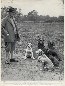 LABRADOR RETRIEVER HUNDE UND GEHORSAMSTRAINER ALT ORIGINAL 1934 HUNDEABDRUCK - Bild 1 von 1