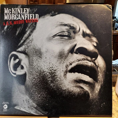 MUDDY WATERS / McKINLEY MORGANFIELD A.K.A. MUDDY WATERS 1971 Chess 2CH-60006 EXC - Image 1 of 4