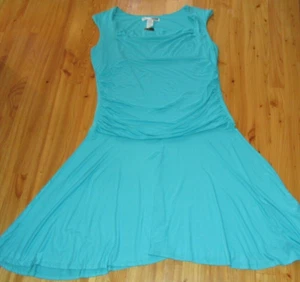 Necessary Objects Woman Aqua 1X Open-Neck Pull Over Sleeves Dress NWT NICE - Picture 1 of 5