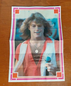 Andy Gibb poster, #30/42, 1978 Donruss, no tears, pinholes, writing!! - Picture 1 of 7