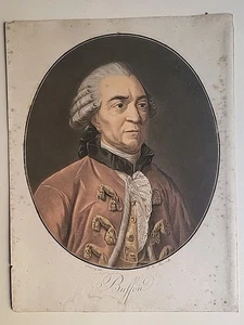 Alix d'après Garnerey - Portrait de Buffon - Gravure Imprimée en couleurs - Imagen 1 de 5