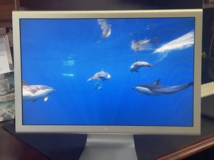 Apple 20" LCD Cinema Display Monitor DVI with Power Supply - Model A1081 - Picture 1 of 10