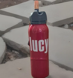 LUCY Water Bottle Sustainable 23oz Stainless Steel Flip Straw Clip BPA Free NWT - Picture 1 of 12