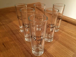 "Vasos de chupito de 4"" de tequila El Mayor ~ Fondo pesado ~ Juego de 6 nuevos sin caja ~ raros" - Imagen 1 de 6