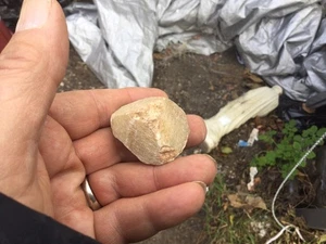 Fragmento de cabeza de ídolo de mármol antiguo de Anatolia 2700-2100 aC Ex Bonhams sin precio base - Imagen 1 de 10