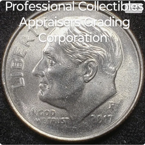 2017-P Errors Roosevelt Dime struck through grease errors and die chip errors Cover