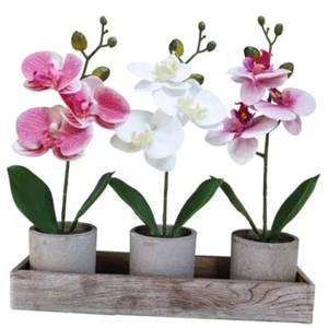 Set of 3 Small Artificial Orchid Potted Plants Arrangement with Rustic Wood - Picture 1 of 8