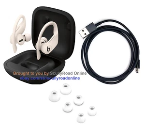 AUTHENTIC: Apple Beats Dr. Dre Powerbeats Pro Wireless Bluetooth Earphones Ivory - Picture 1 of 15