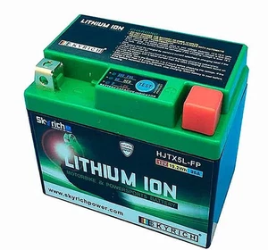 SKYRICH HJT12B-FP LT12B LITHIUM AKKU (mit Ladeanzeige) - Bild 1 von 1
